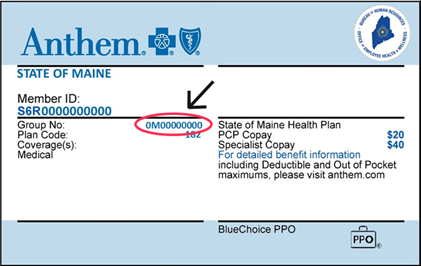 group over anthem invoice definition